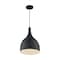 Nuvo Fixture, Pendant, 1-Light, Incandescent, 100W, 120V, A19, Medium Base 60/7087 - alternate 1